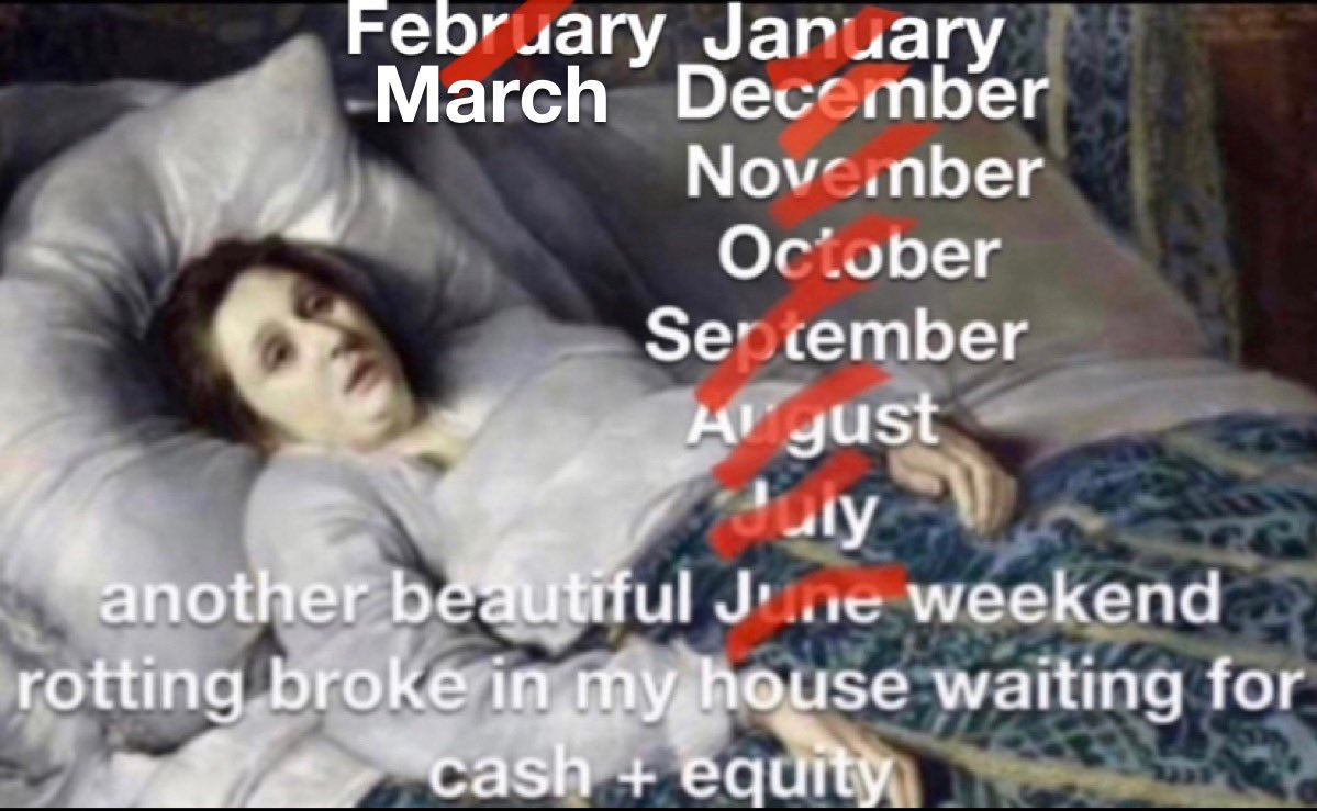 Teddizard 🔥 tweet media