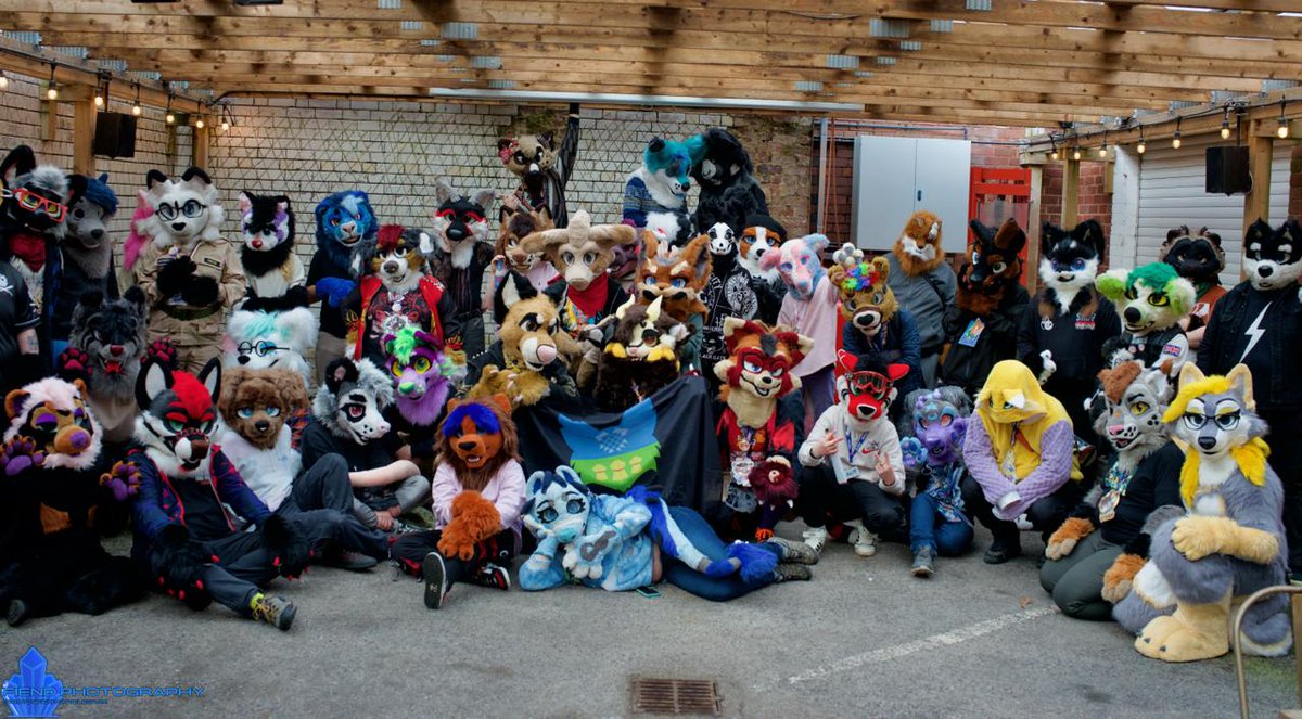 BeanThePunk 🔜CFZ tweet media