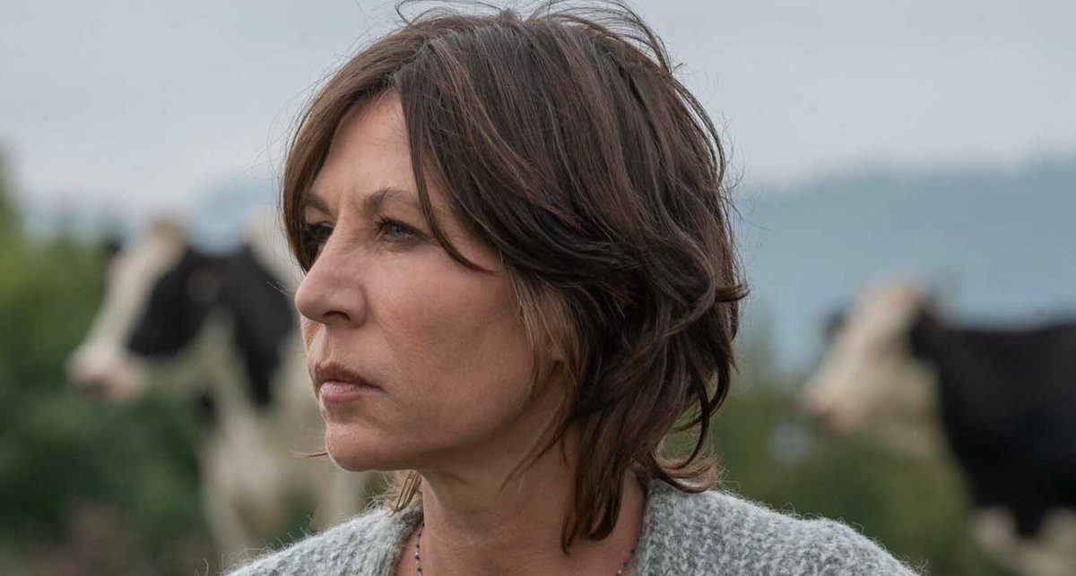 Médias Infos tweet media