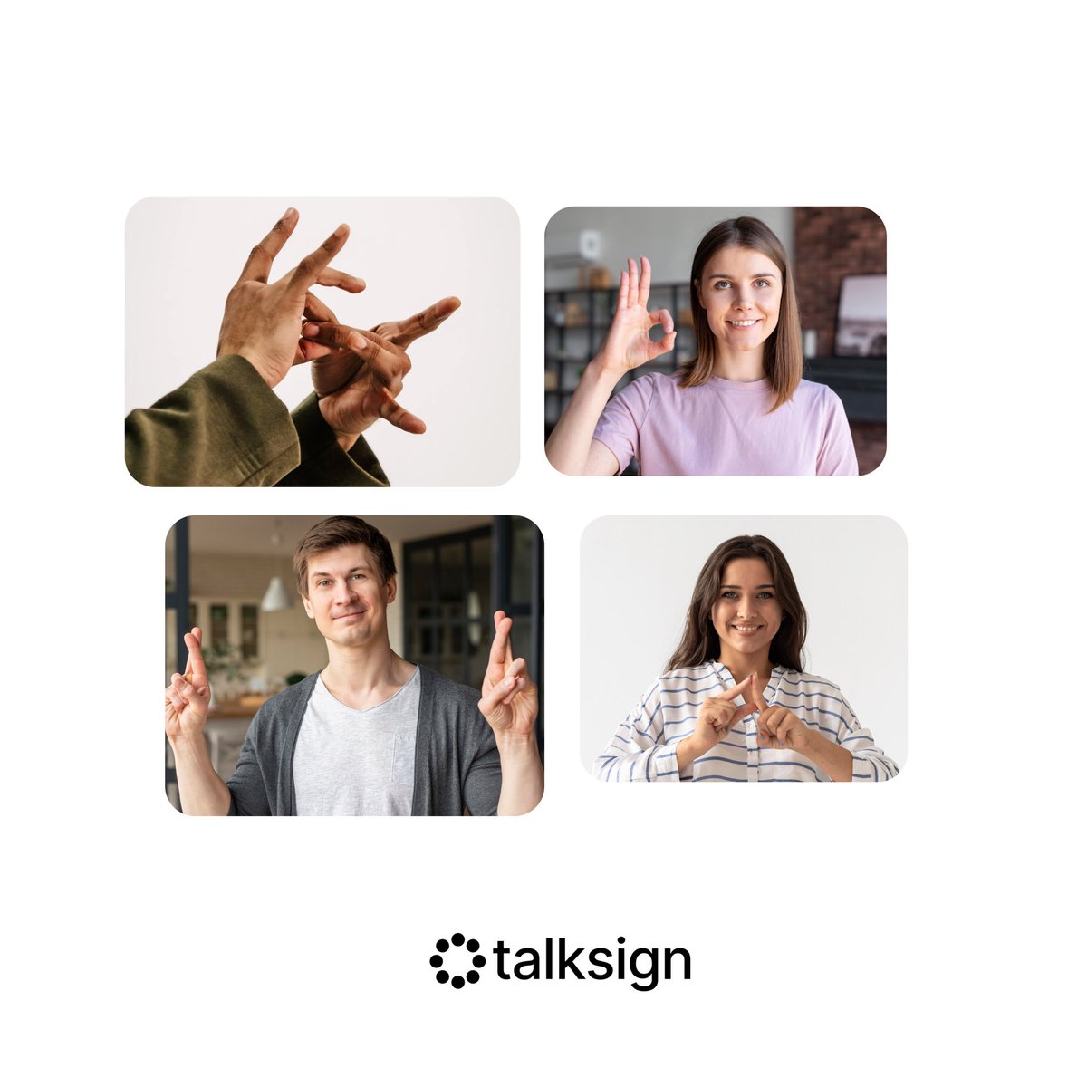 talksign tweet media