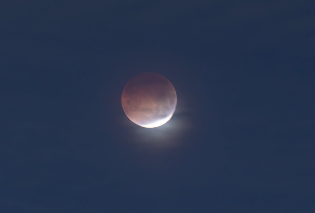scott2eh's tweet photo. Lunar Eclipse in Toronto, even though it was pretty cloudy. https://t.co/L5dRXA6LvC