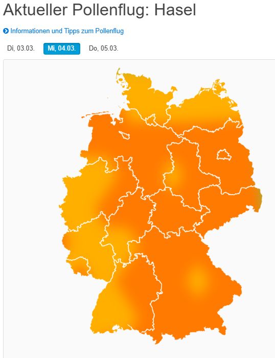 WetterKontor's tweet photo. Auch morgen mäßiger bis starker Flug von Hasel- und Erlenpollen: https://t.co/eOJFoFtAEK
#Biowetter #Pollenflug #Hasel #Erle https://t.co/flx1grfdtM