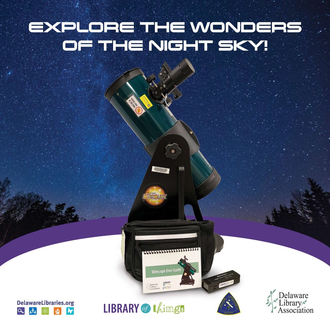 Delaware Libraries tweet media