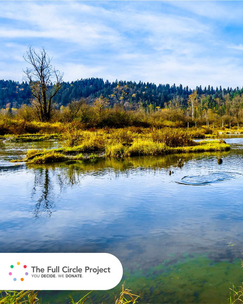 GFL Environmental tweet media