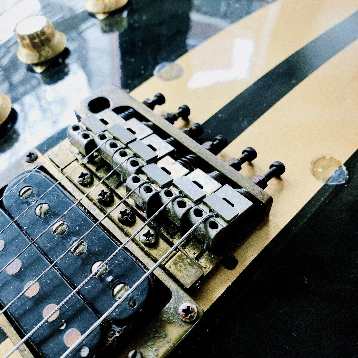 Kyoji Yamamoto（山本恭司） tweet media