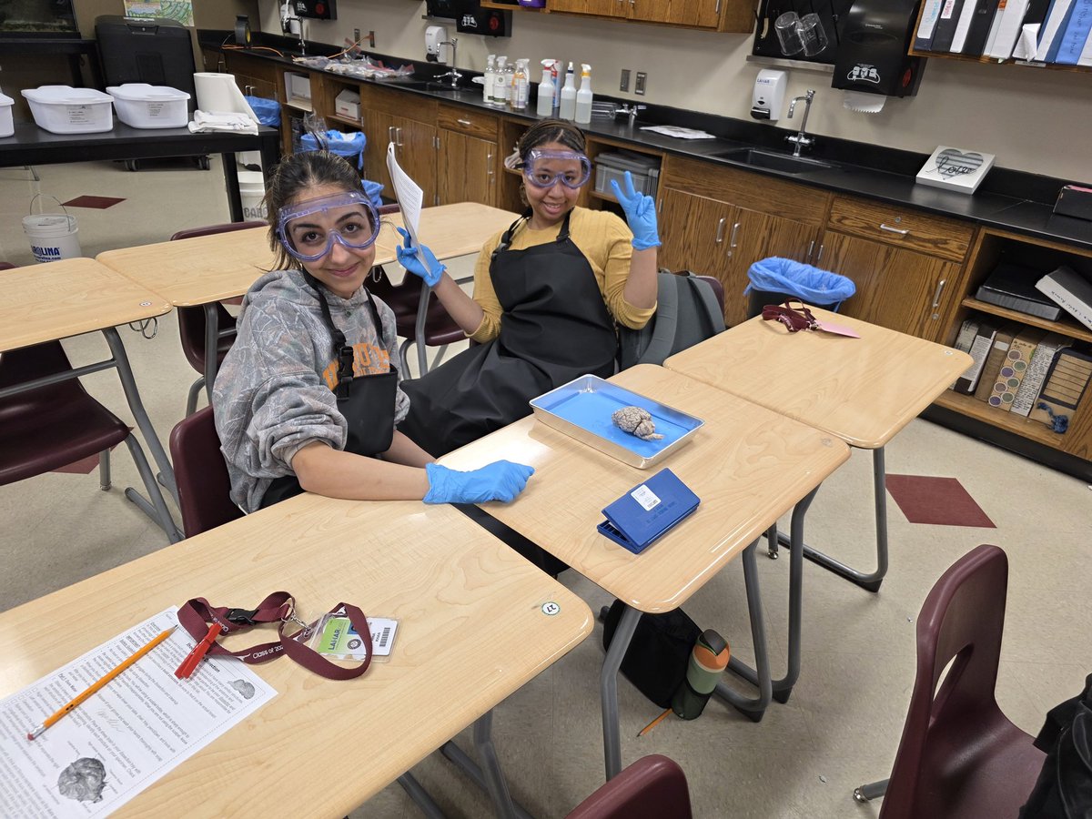 jlovescience's tweet photo. #WeAreGR 
Brain Dissections A&amp;P https://t.co/qSEbjPC2bz