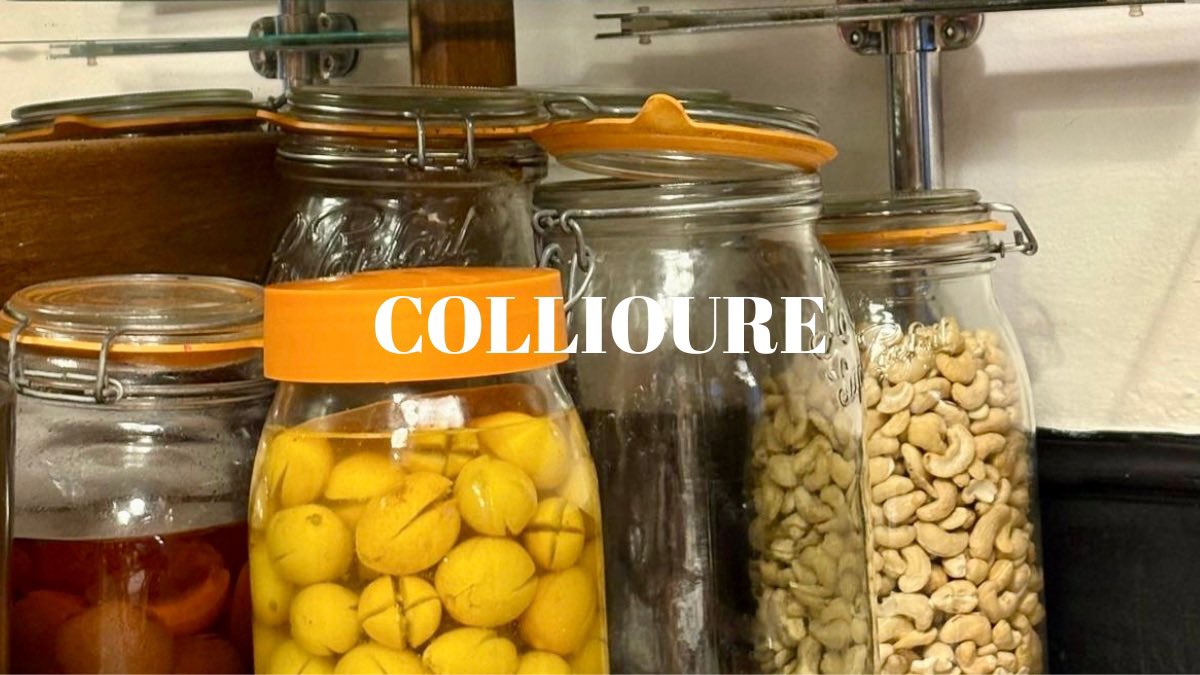 Ichtus Magazine tweet media