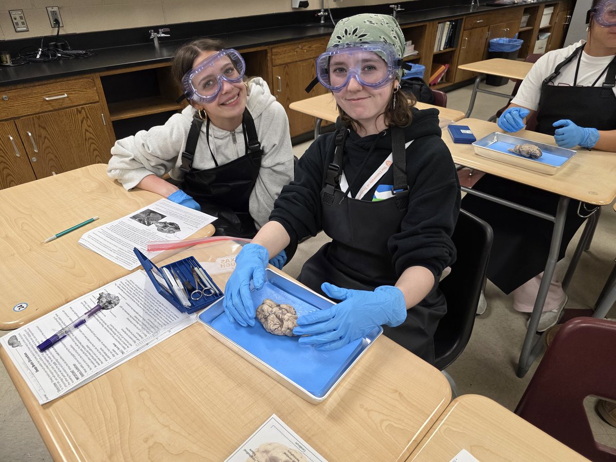 jlovescience's tweet photo. #WeAreGR 
Brain Dissections A&amp;P https://t.co/qSEbjPC2bz