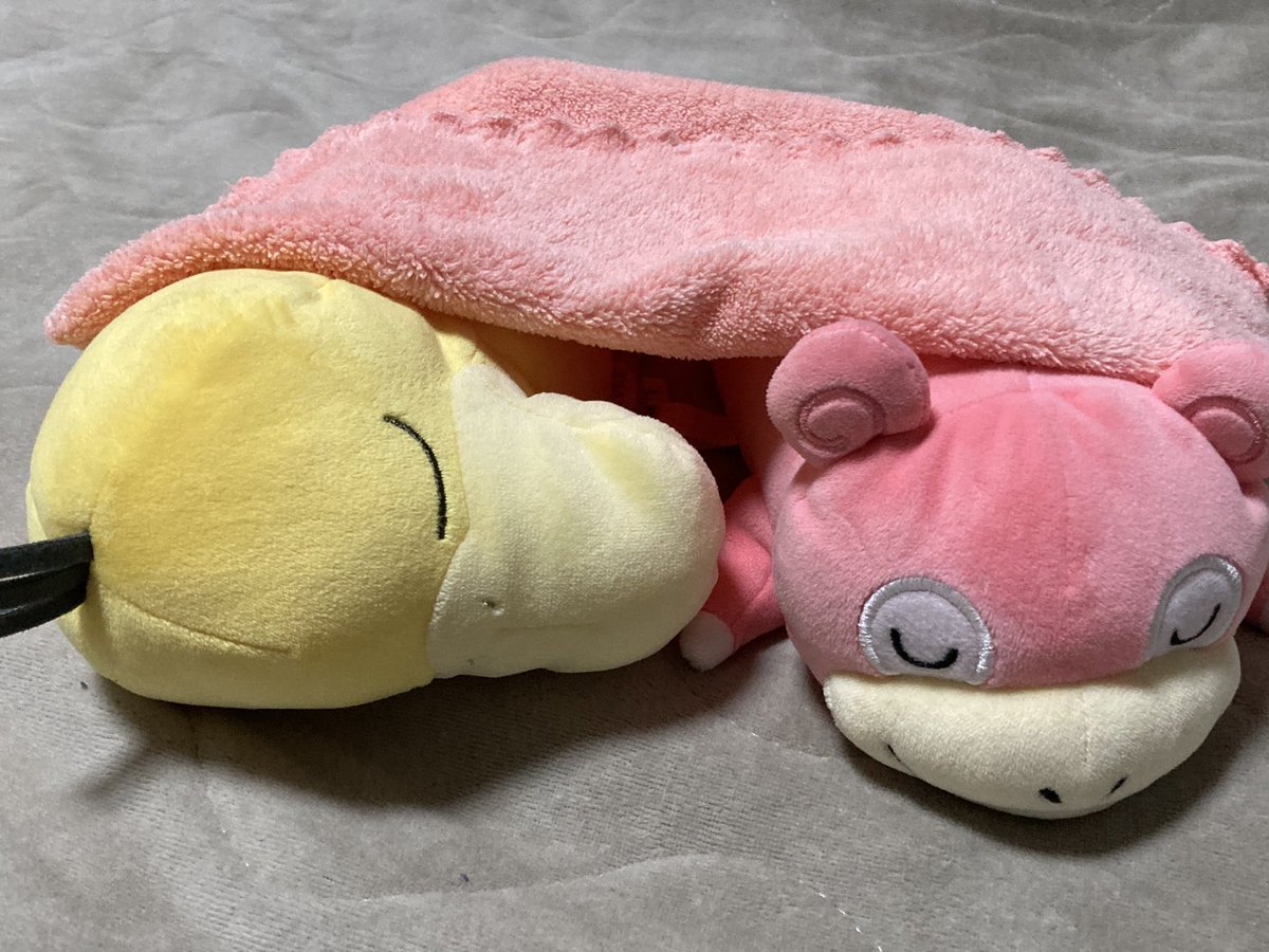 1年前のクリスマスに相方にあげた寝ているヤドン。間もなく寝ている