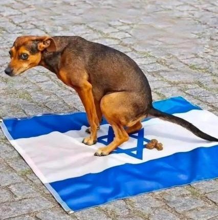 🇮🇷 Irán no descansara hasta que no encuentre a Netanyahu 🇮🇱 

No es lo mismo llamar al diablo todos los días y amenezar al mundo que verlo venir.