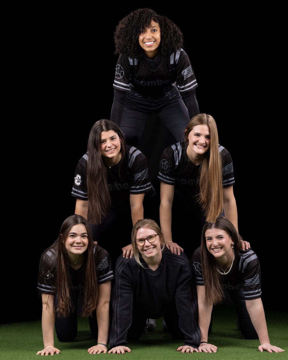 FHSLionsSoftball tweet media