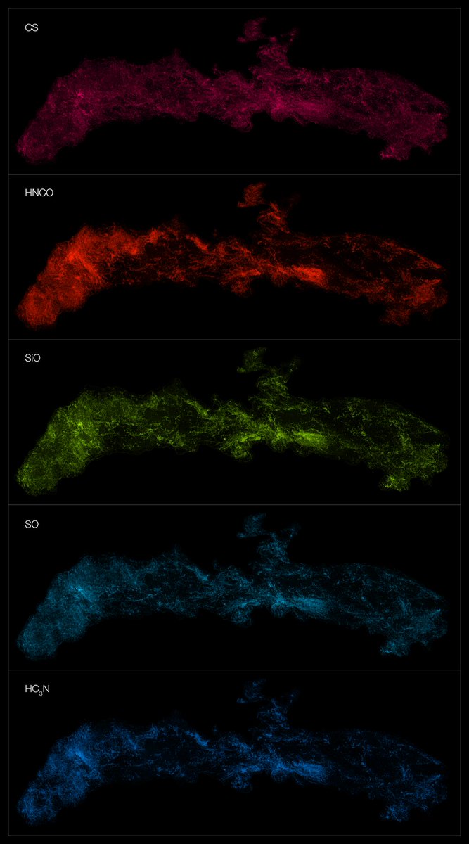 almaobs's tweet photo. 📡Chemistry at the heart❤️ of the Milky Way✨
The ACES survey, conducted by ALMA, has mapped the distribution of several dozen molecules present.

Here are 5 of them, from top to bottom:
✅Carbon monosulfide
✅Isocyanic acid
✅Silicon monoxide
✅Sulfur monoxide
✅Cyanoacetylene https://t.co/13X2ibMsHA