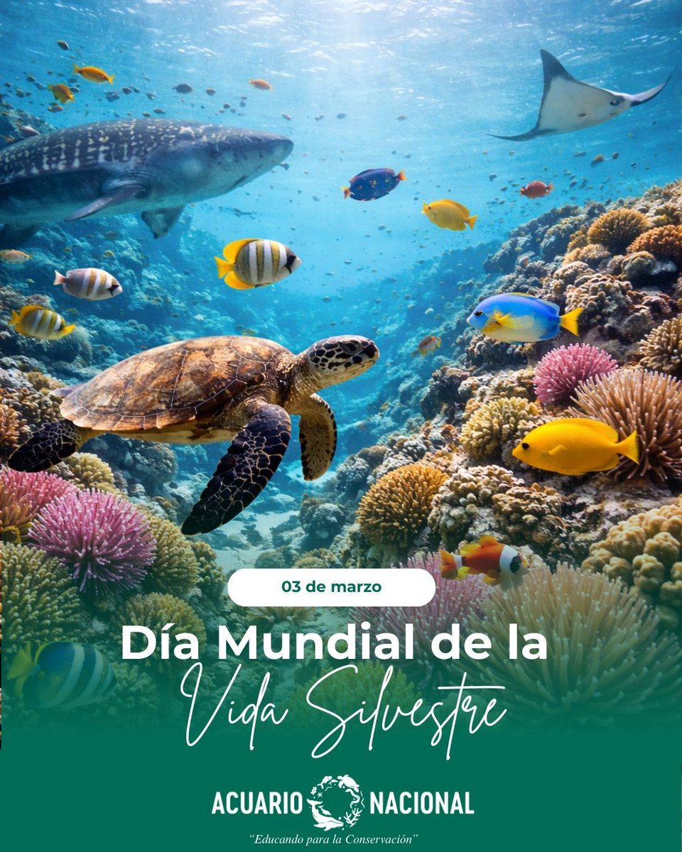 Acuario Nacional RD tweet media
