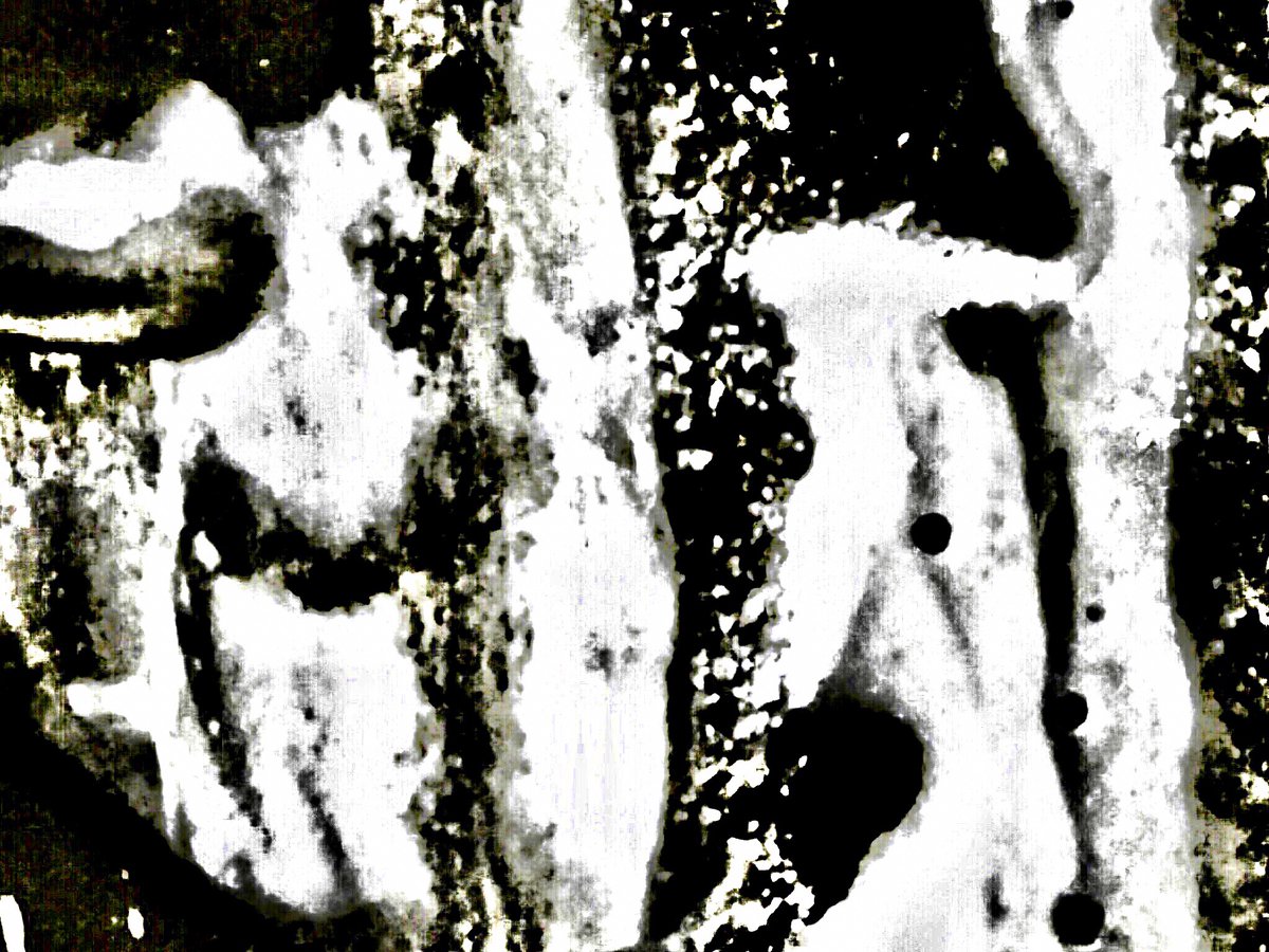 _MIND_ART_'s tweet photo. Who the Hell is this? - Jan Kluveld https://t.co/G0Ypw3351u