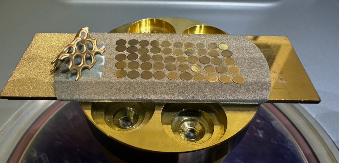 Israel Fernandez tweet media