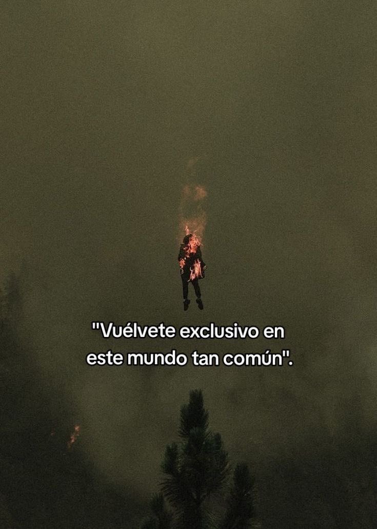 🌙 mini textos tweet media