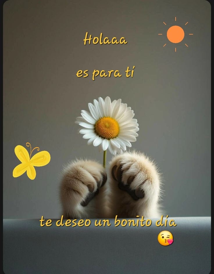 Alice612602's tweet photo. #BuenosDías #FelizMartes
🧡🤎🧡🤎🧡🤎🧡🤎🧡🤎🧡🤎🧡🤎🧡 https://t.co/UtJybrkzoH