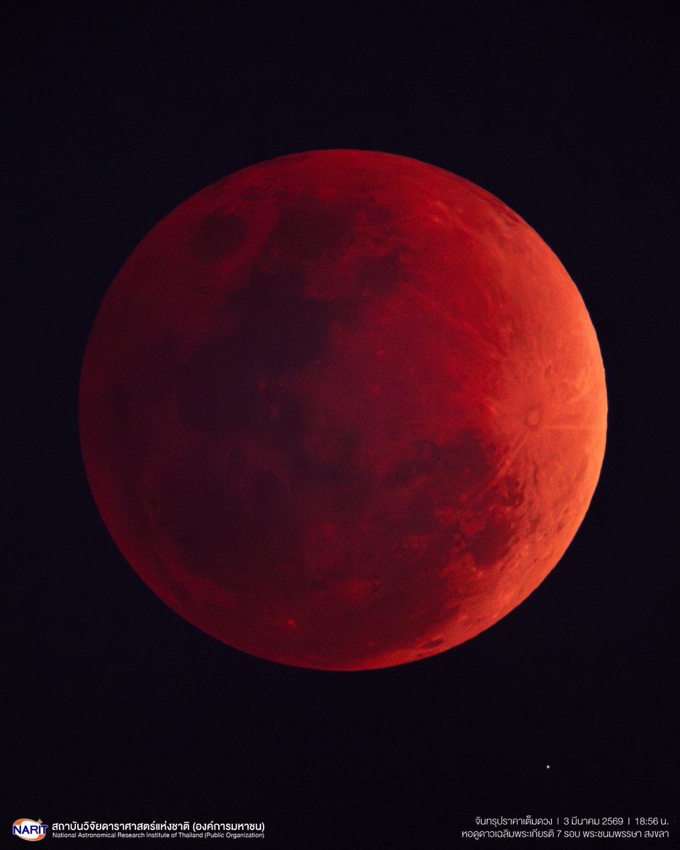 มาแล้ว ภาพปรากฏการณ์ "จันทรุปราคาเต็มดวง" ช่วงหัวค่ำวันมาฆบูชา 3 มีนาคม 2569 บันทึกเมื่อเวลาประมาณ 18:56 น. เป็นช่วงที่ดวงจันทร์เต็มดวงเข้าไปอยู่ในเงามืดของโลกทั้งดวง ปรากฏเป็นสีแดงอิฐสวยงาม บันทึก ณ หอดูดาวเฉลิมพระเกียรติ 7 รอบพระชนมพรรษา สงขลา

#จันทรุปราคา #จันทรุปราคาเต็มดวง