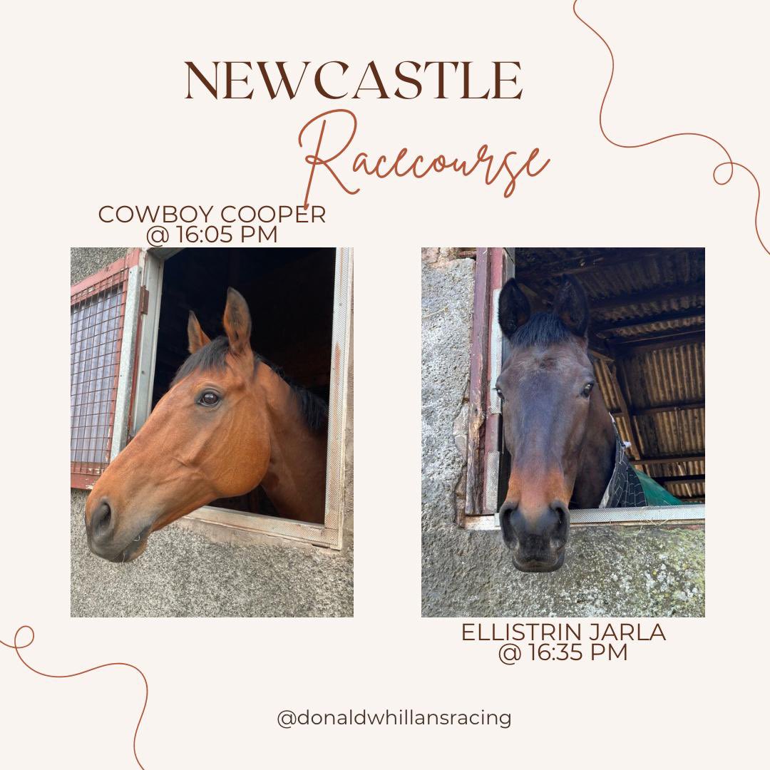 Donald Whillans Racing tweet media