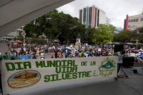 EFE LaFototeca tweet media