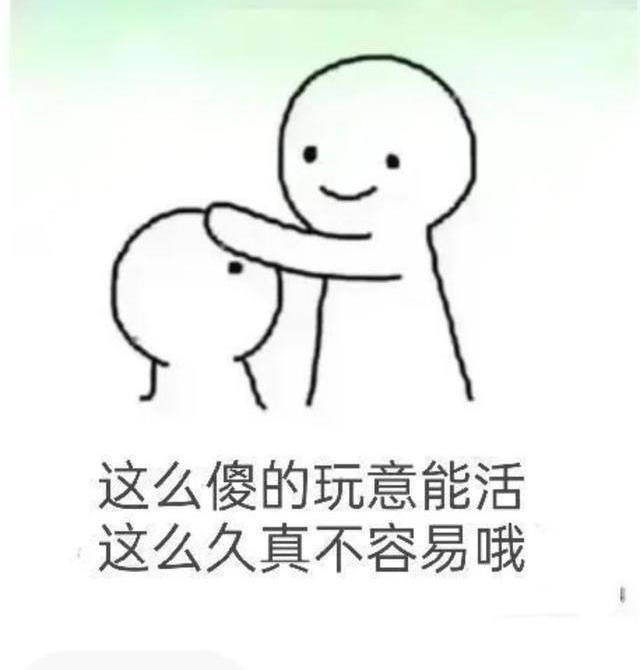 王富貴 tweet media