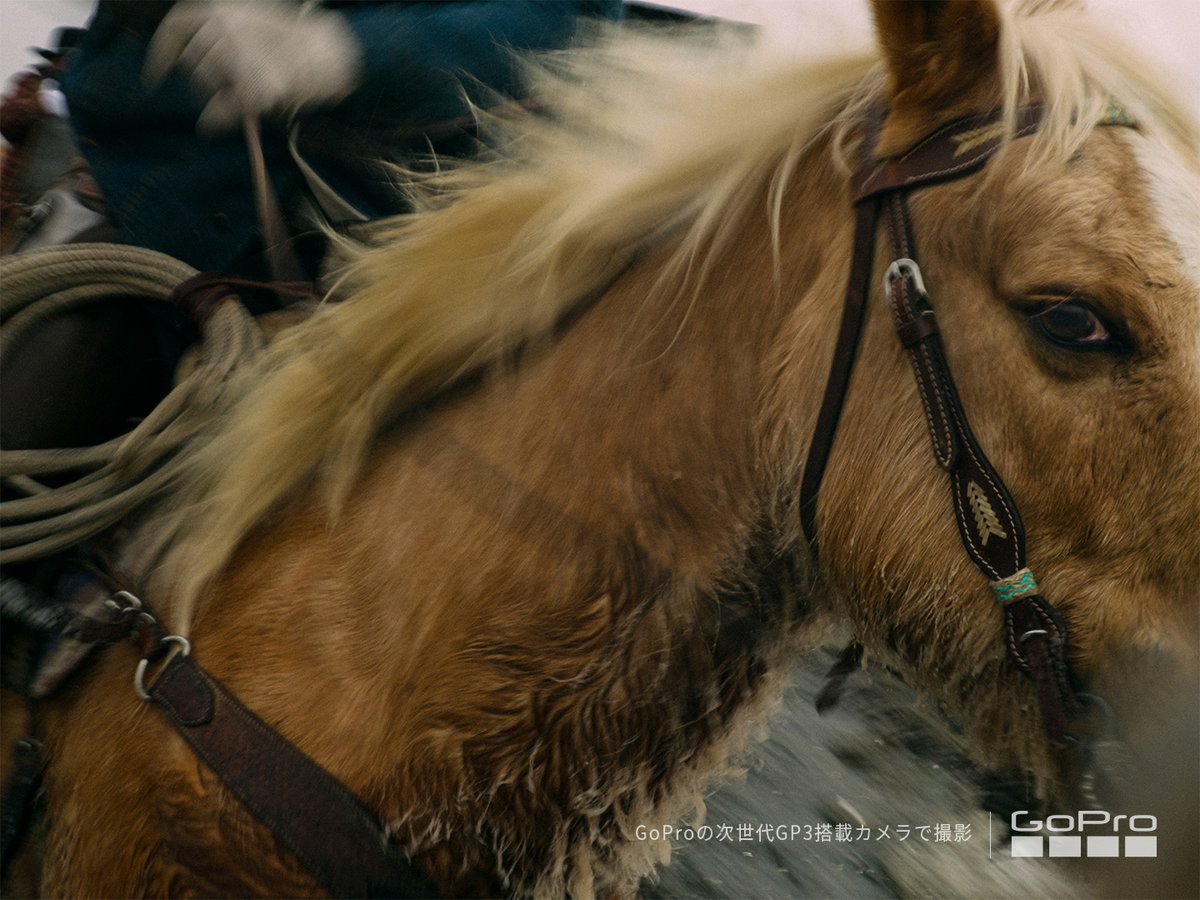 GoPro Japan tweet media