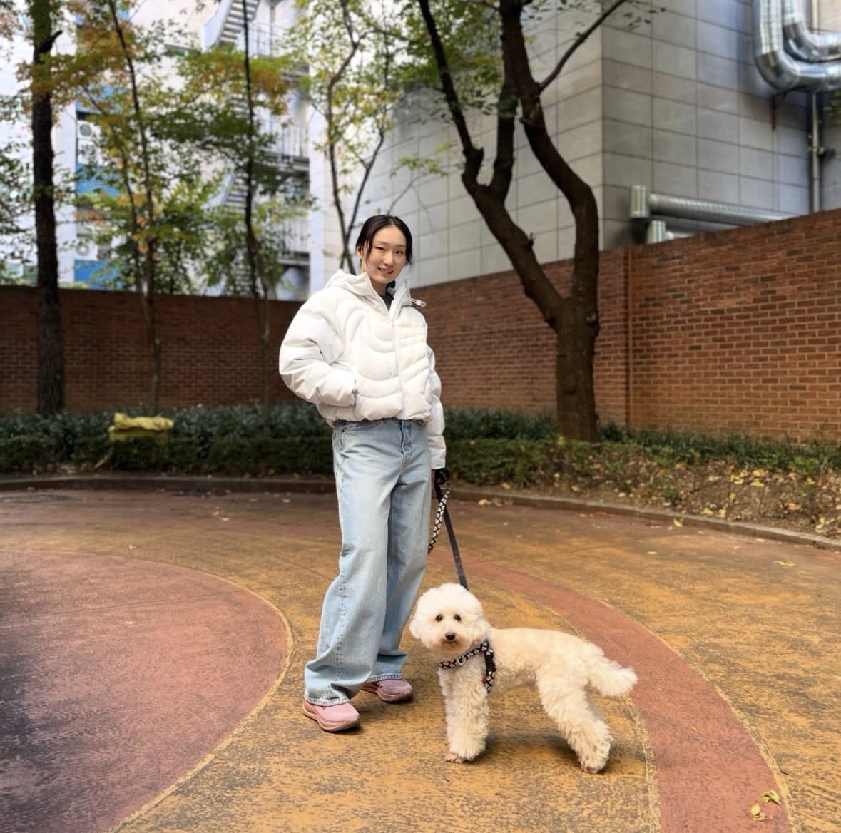 찬 (상태:본계복구완료) tweet media