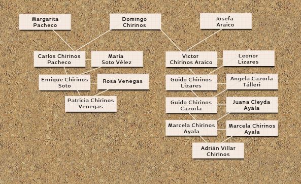 Adrián Villar Chirinos también tiene un vínculo familiar con Patricia Chirinos Venegas, actual congresista y candidata al Senado por Renovación Popular.