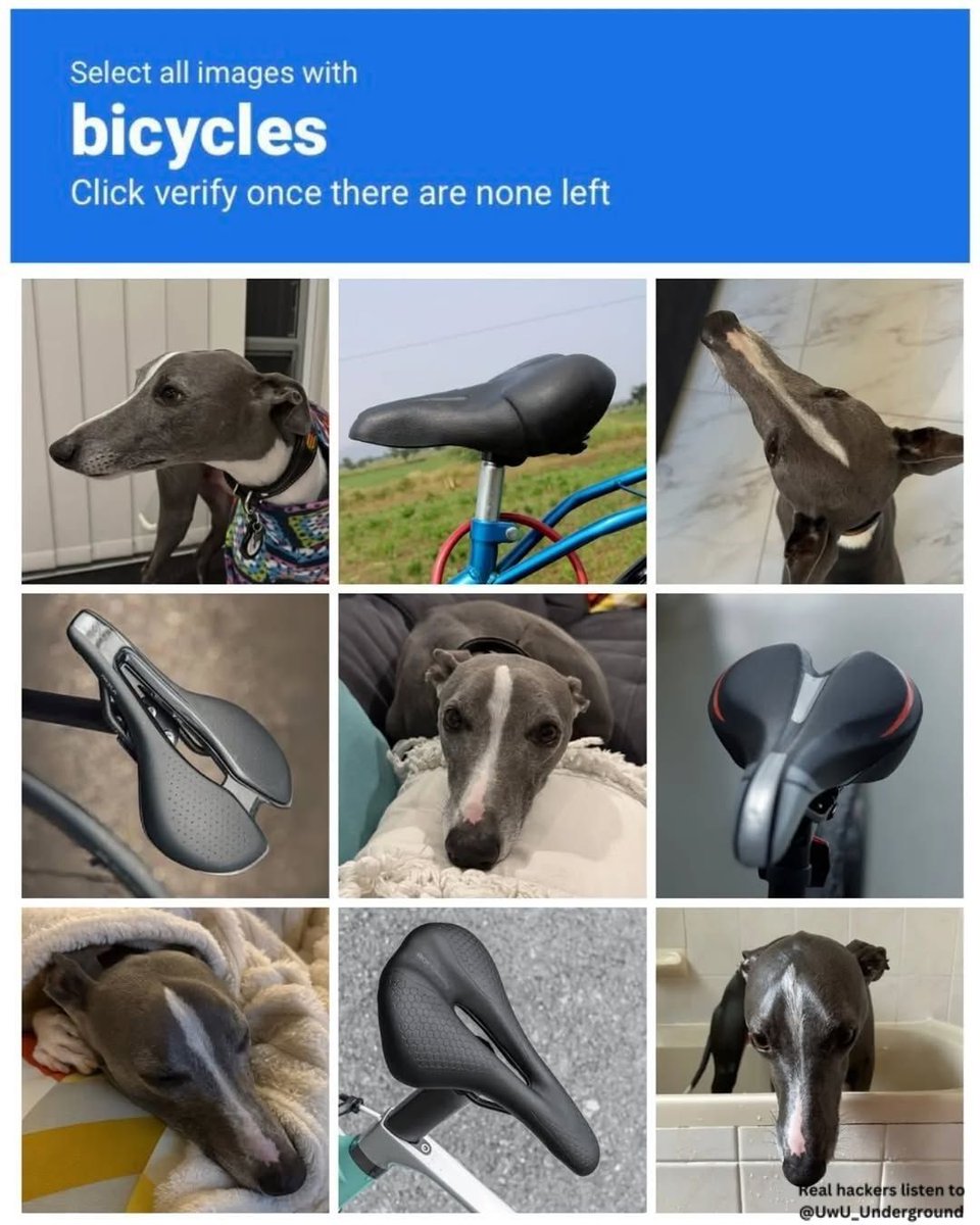 sudox.bsky - sudox.defcon.social (@kmcnam1) on Twitter photo 