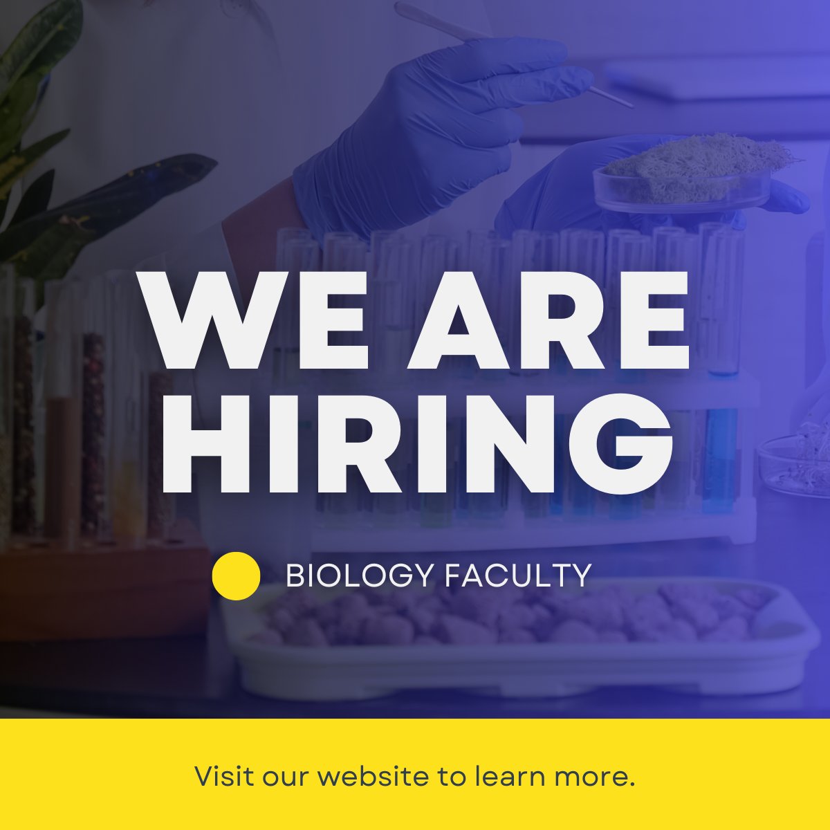 Patrick & Henry CC tweet media