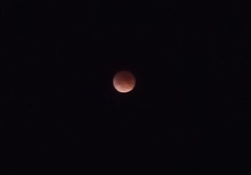 Think_BlueLA's tweet image. Happy full #BloodMoon! The next one will be on December 31, 2028.