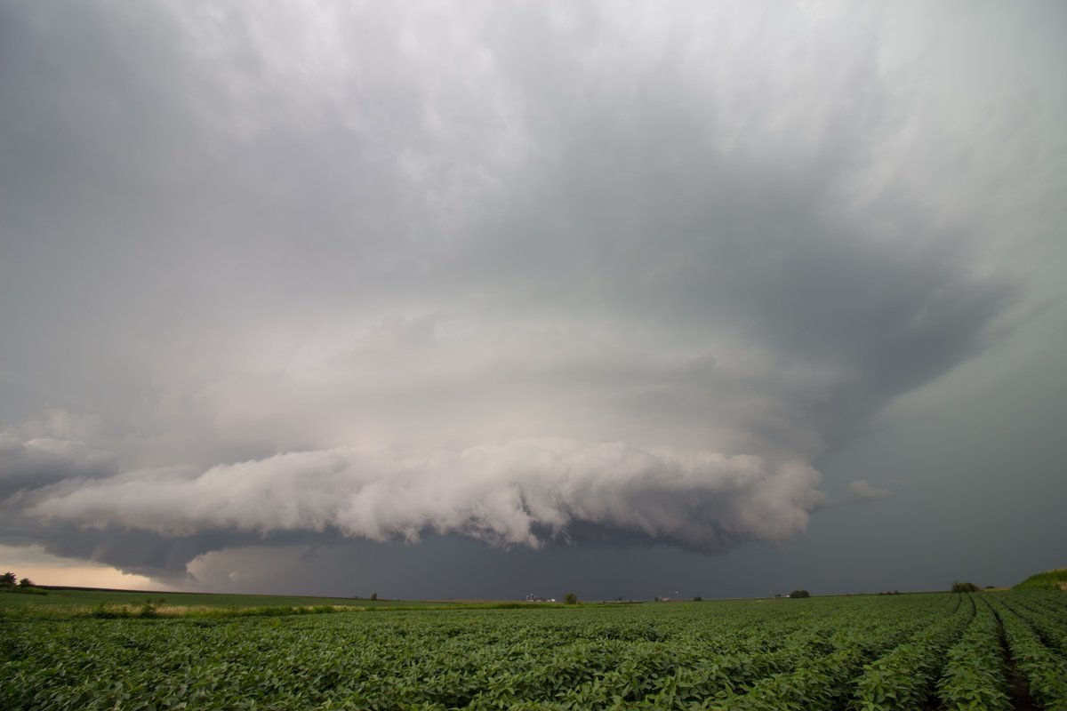 Storm Chaser Coaching tweet media