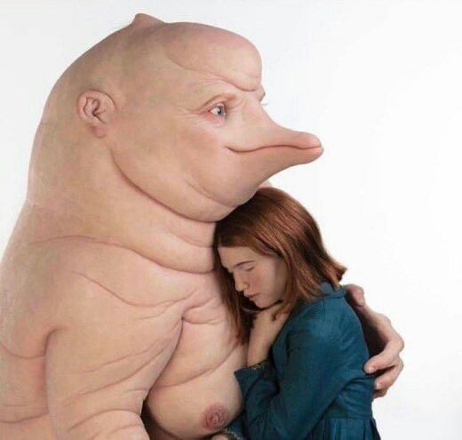 SunakoShark 🍞🦈 tweet media