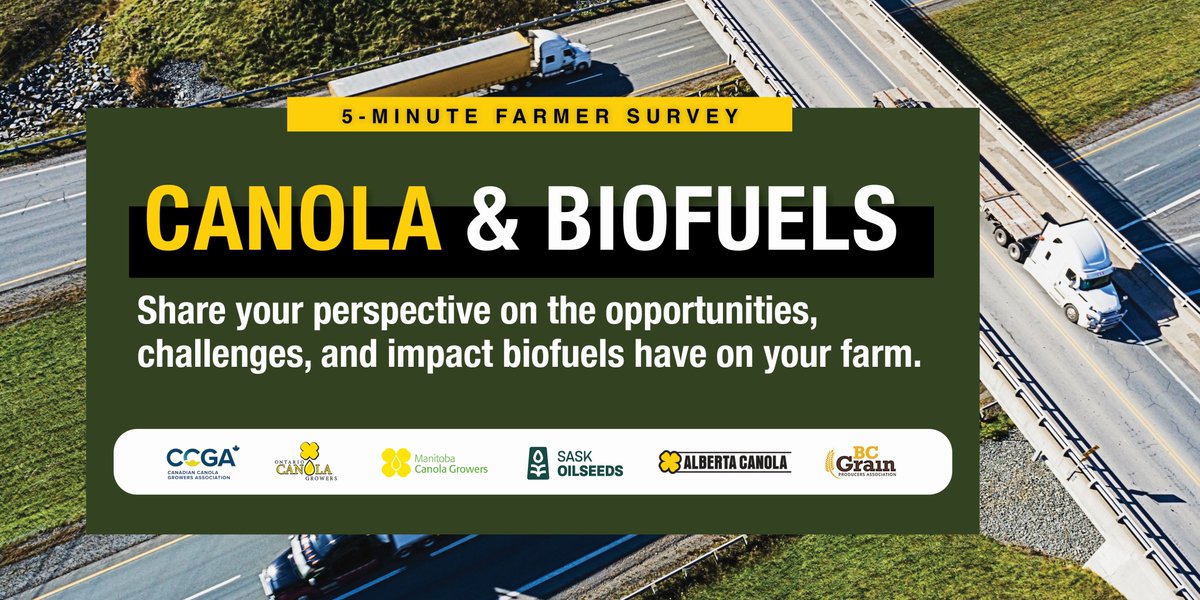 ccga_ca's tweet photo. The national and provincial #canola farmer associations want to hear from you!

Help us better understand canola farmers’ views and perceptions about the biofuels market. Take this quick 5-minute survey:
https://t.co/BRYfaA5aZn #CdnAg #CdnPoli https://t.co/qXlespDxJ8
