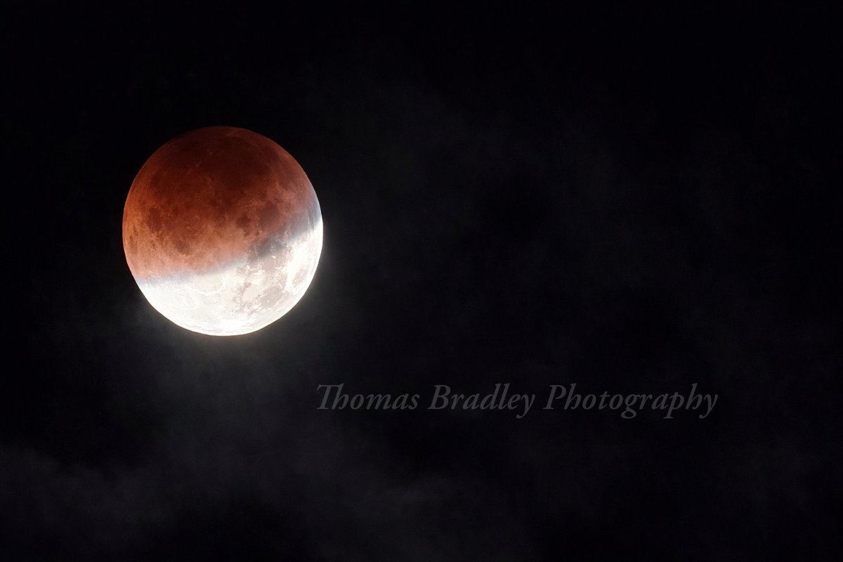 ThomasDBradley tweet media