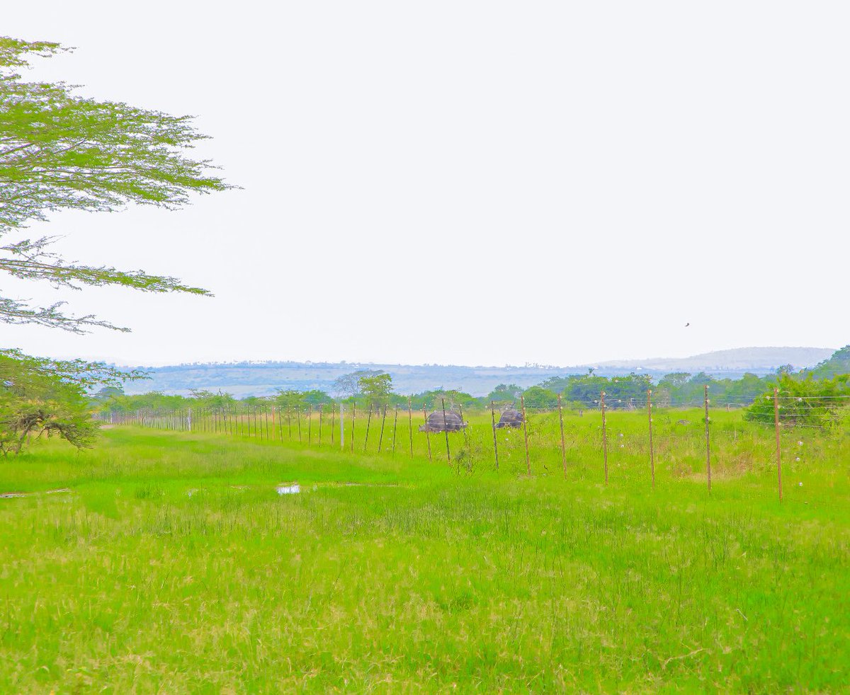 Abaturage bo mu Murenge wa Karangazi mu Karere ka Nyagatare baturiye ...