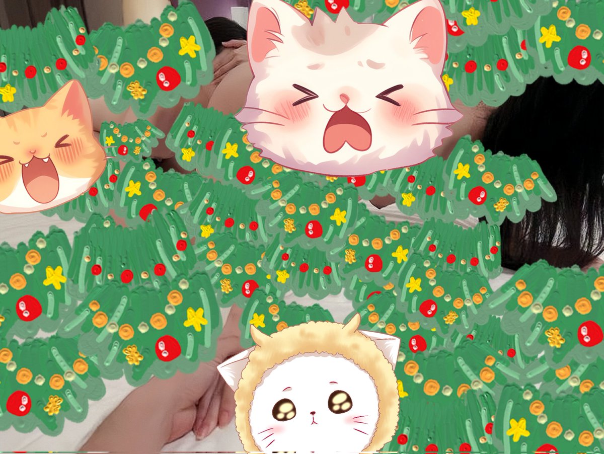 猫小小 tweet media