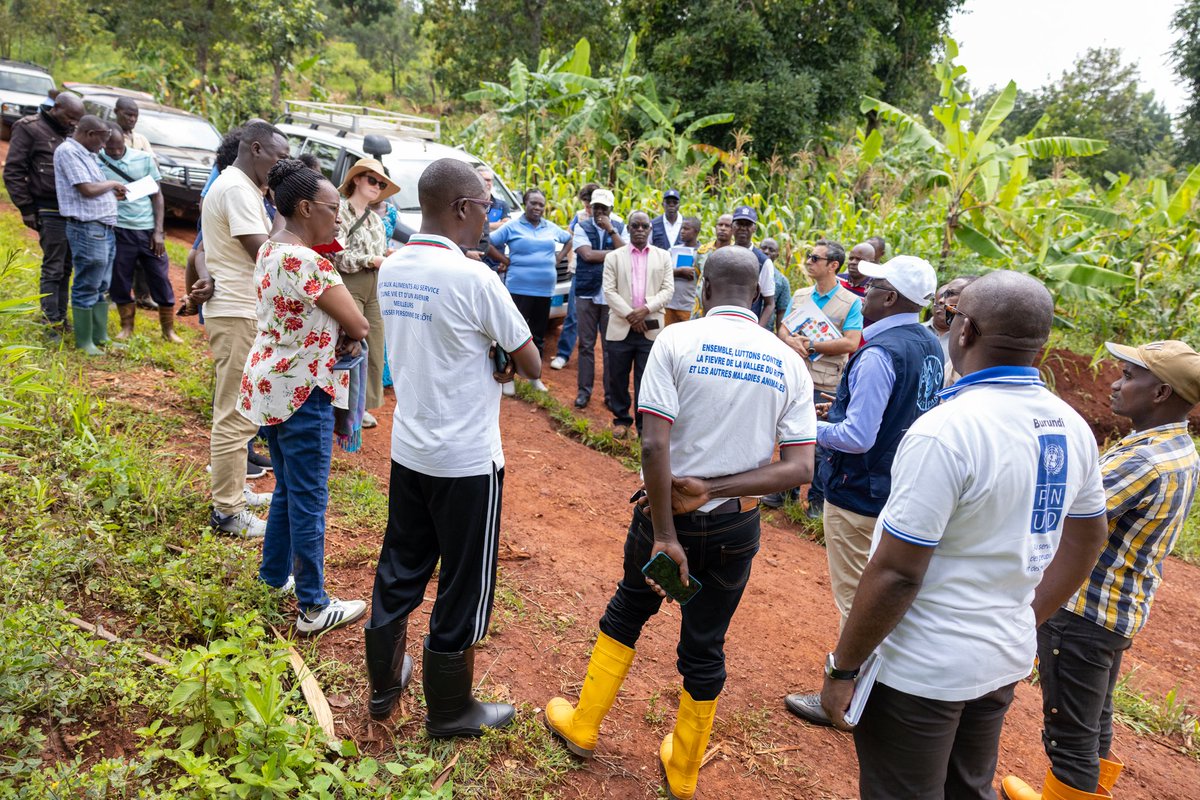 Nations Unies au Burundi tweet media