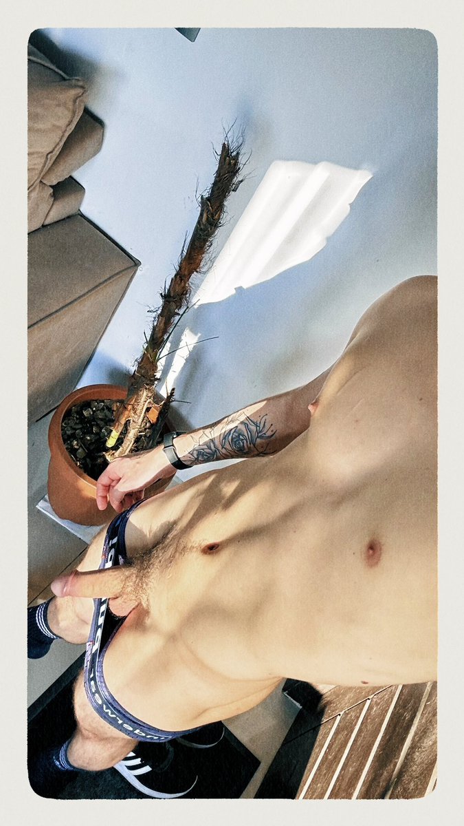 taeoque's tweet photo. vitamina D é importante ☀️ https://t.co/7hyHrAXVUE