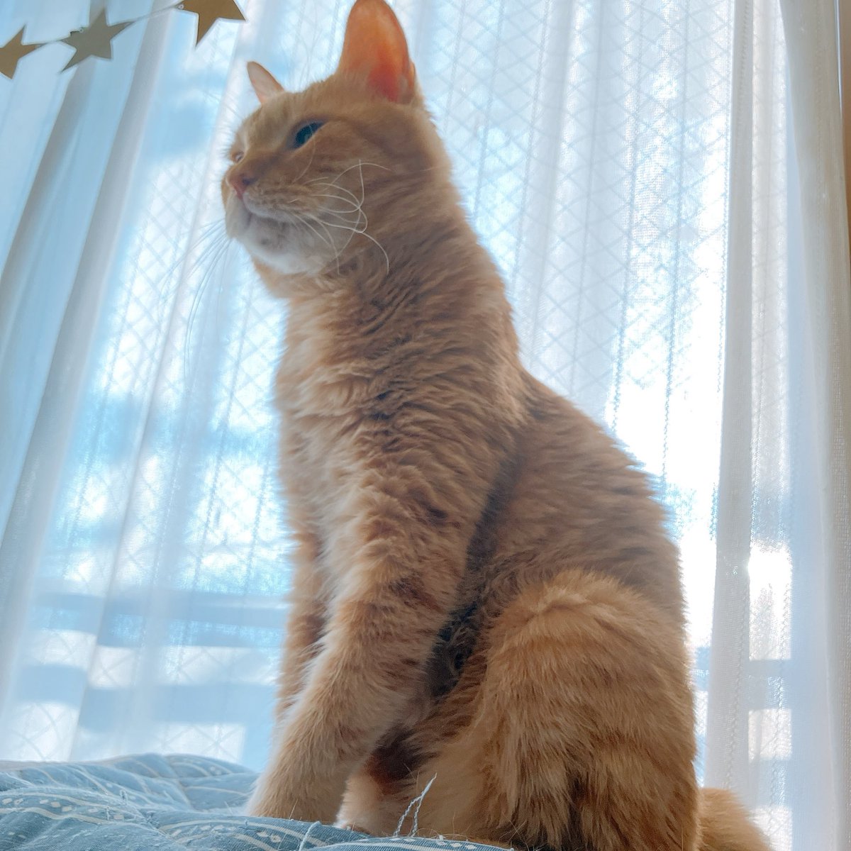 中田める◇3/20西4 A36b (@meru7) / Posts / X