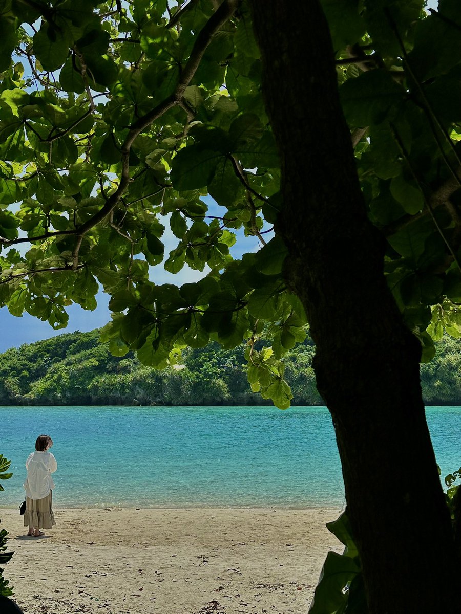 🇳🇱 tweet media