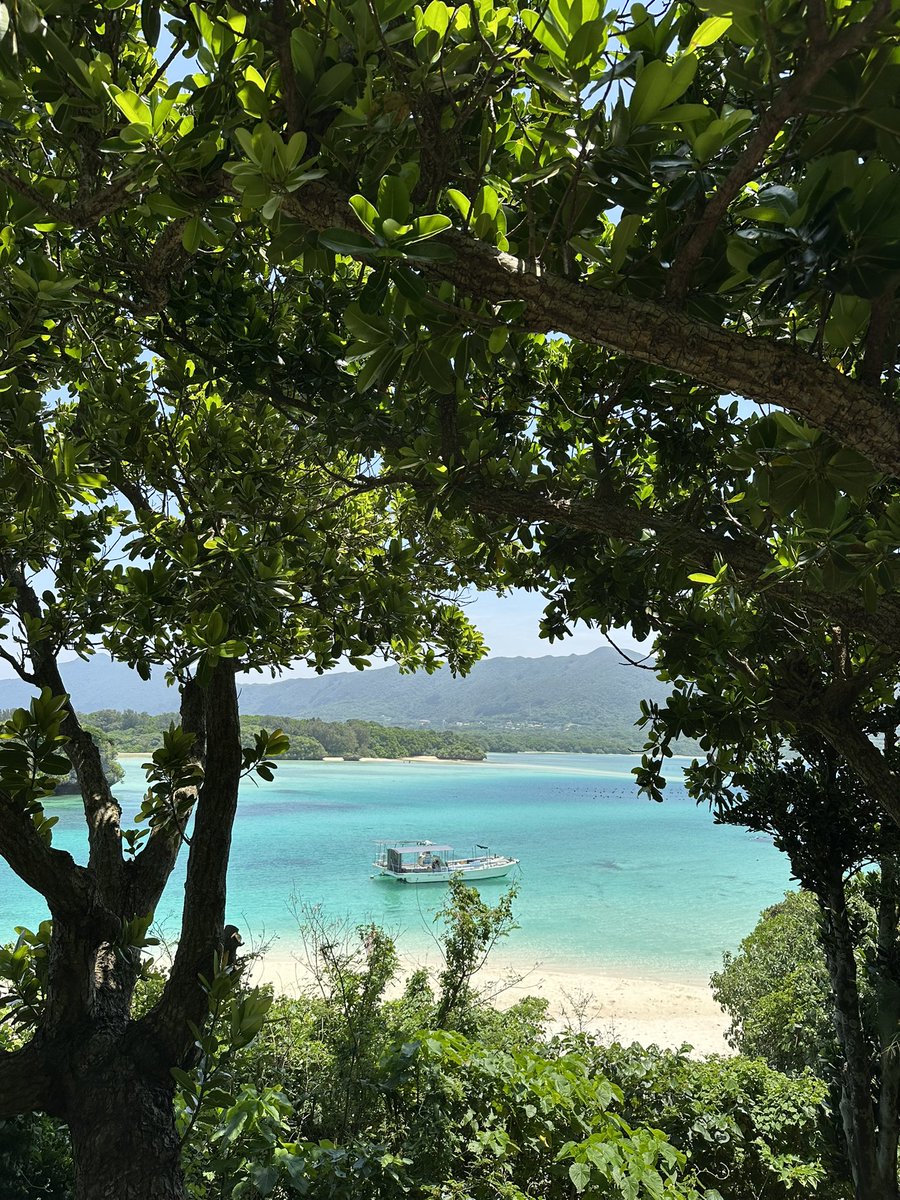 🇳🇱 tweet media