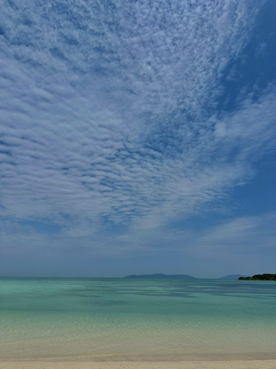 🇳🇱 tweet media