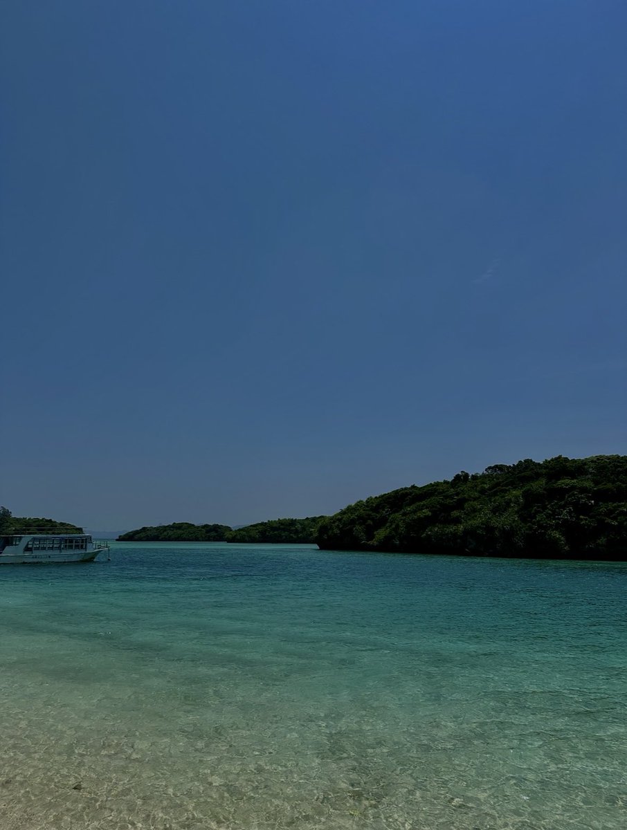 🇳🇱 tweet media