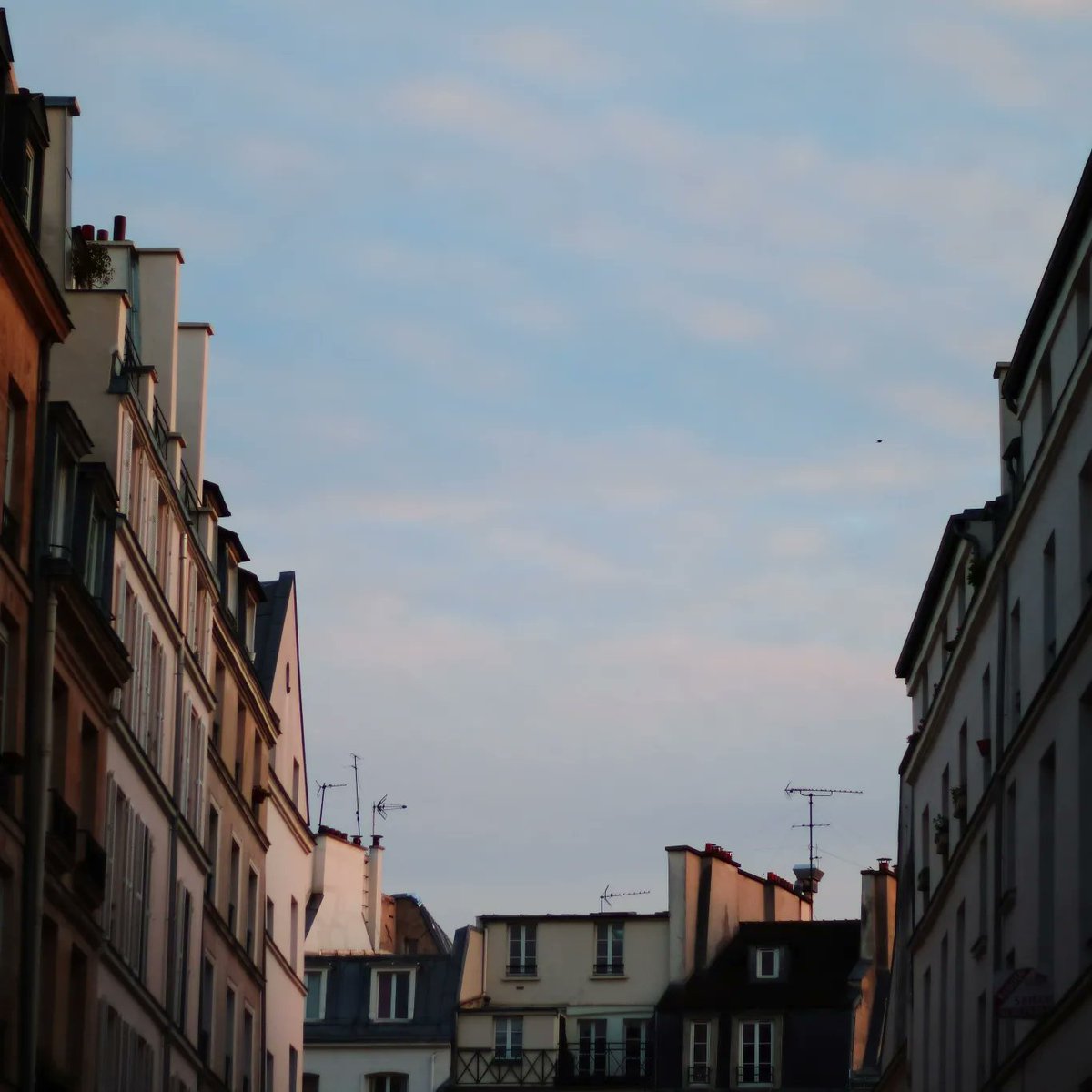 ngbp (@ngbpfn) on Twitter photo 