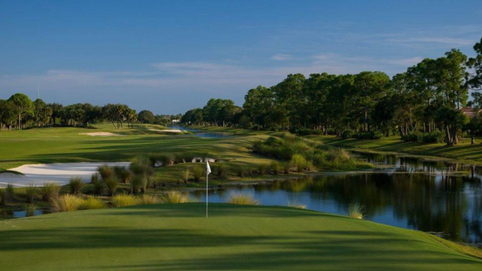 Turflogic tweet media