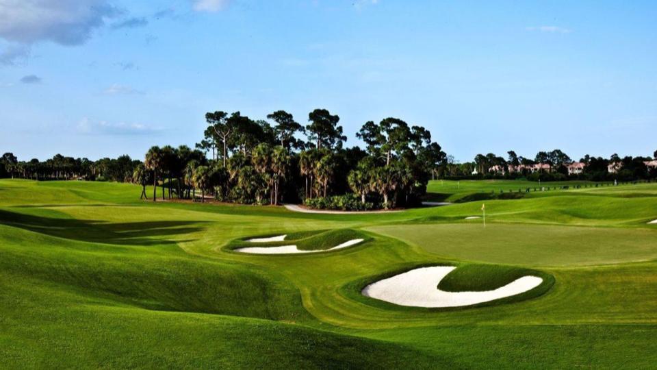 Turflogic tweet media