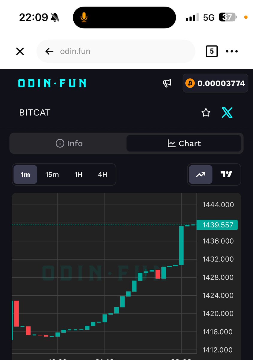 bitcat #odin.fun💎(cto) tweet media