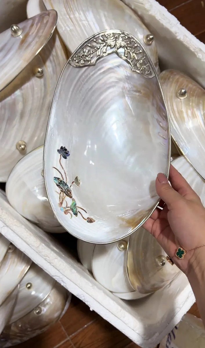 mandaanisah's tweet photo. Nemu toko perabot dari kerang LUCU BANGET 🐚😭 pake ini dirumah berasa tinggal di kerajan 𓇼 ⋆.˚ 𓆉 𓆝 𓆡⋆.˚ 𓇼 https://t.co/0NpeGmv5Y7