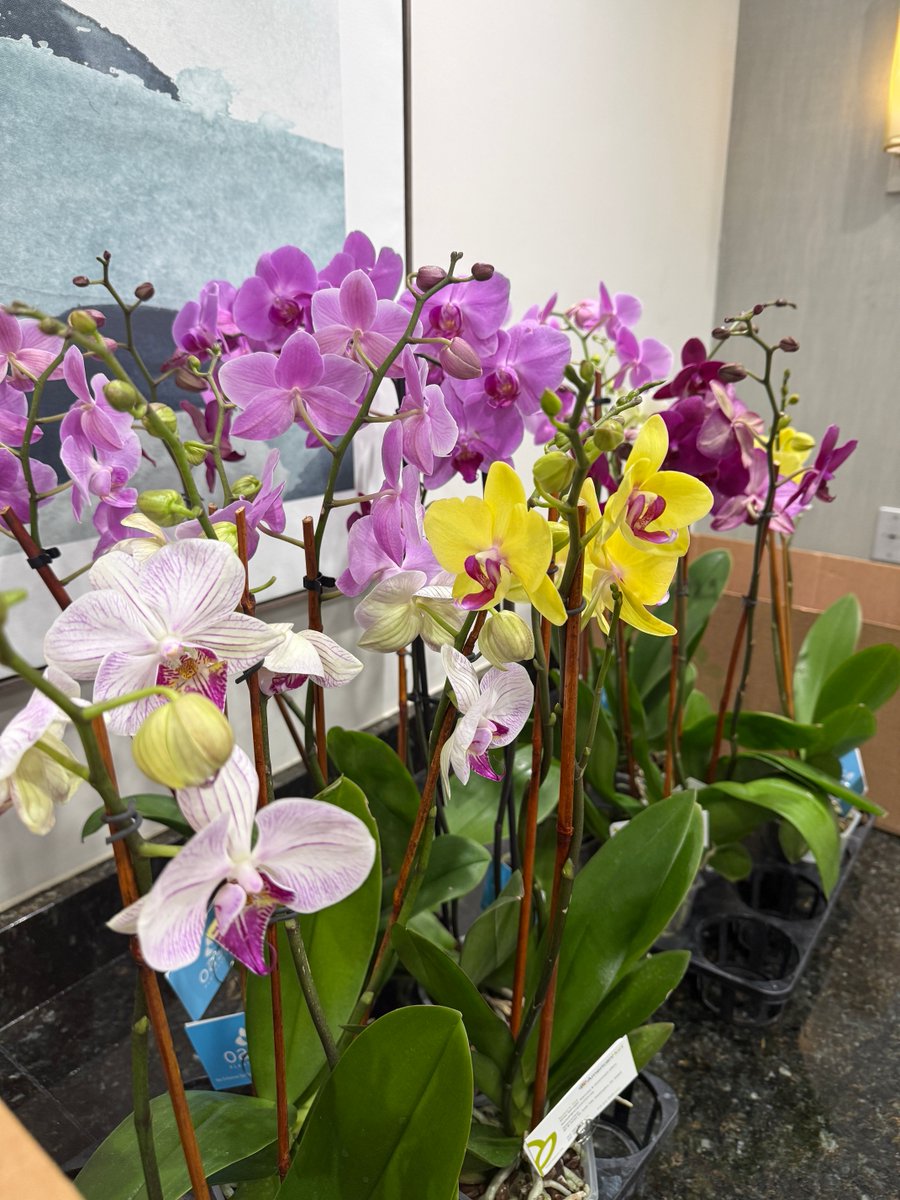 The IR-4 Project tweet media